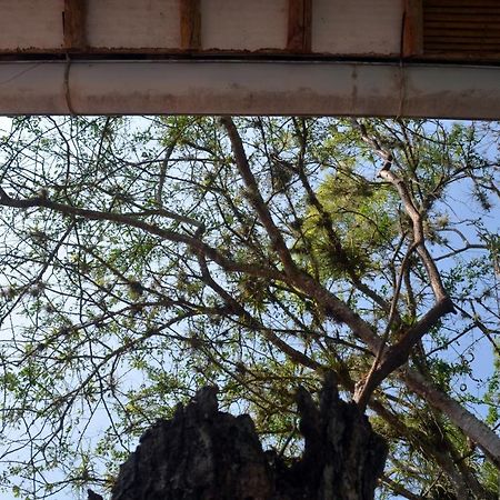 Albahaca Hospedaje Tienda Barichara Εξωτερικό φωτογραφία